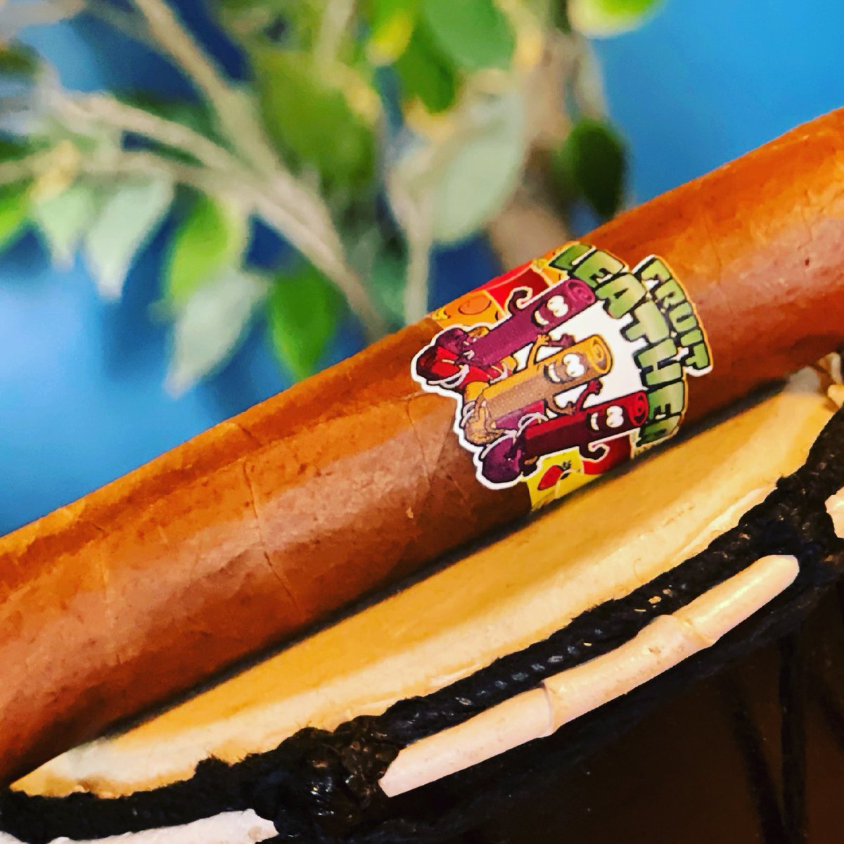 New in our humidor &amp; another LCA Exclusive: Fruit Leather. This cigar is named after the tart and sweet snack we all know &amp; love, &amp; after u smoke one, u will see why.  Quite a unique &amp; delightful cigar, and something we are proud to offer our customers as part of the LCA shops.