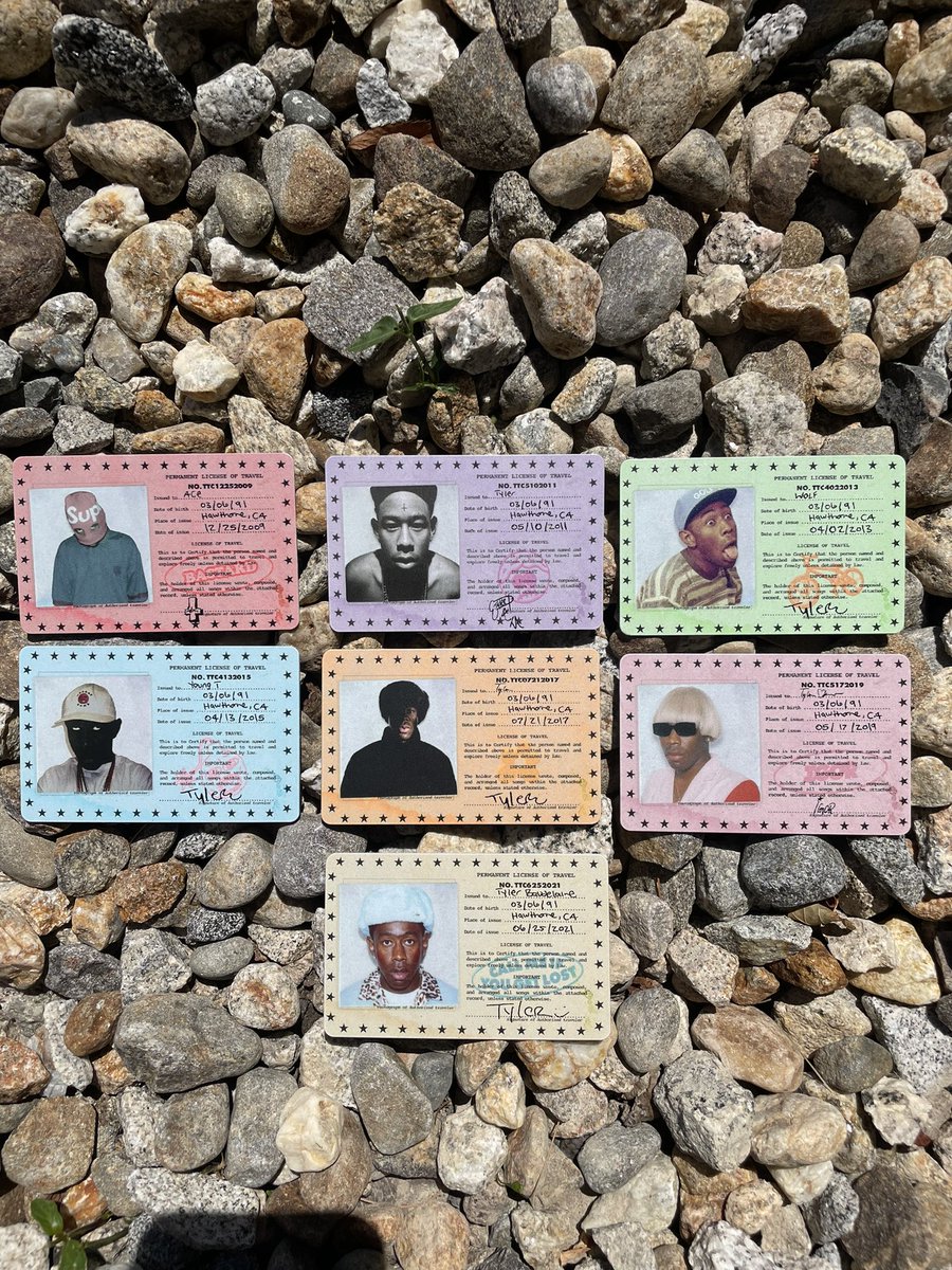 Create Your Own Tyler The Creator Travel License Dazed