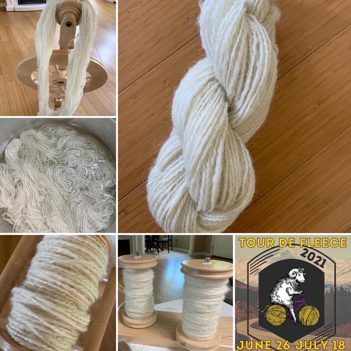 designs_emily's tweet photo. Day 1 of Tour de Fleece 2021: 138 yards, 58 grams of Icelandic (from one of the raw fleeces from Ballyhoo Farm) 2-ply soaked, tensioned, and dried. 🐑. #rawfleece #tourdefleece #tourdefleece2021 #icelandicwool #icelandicsheep #ballyhoofiberemporium #lendrum #spinningwheel https://t.co/5EjQDa5ZKi