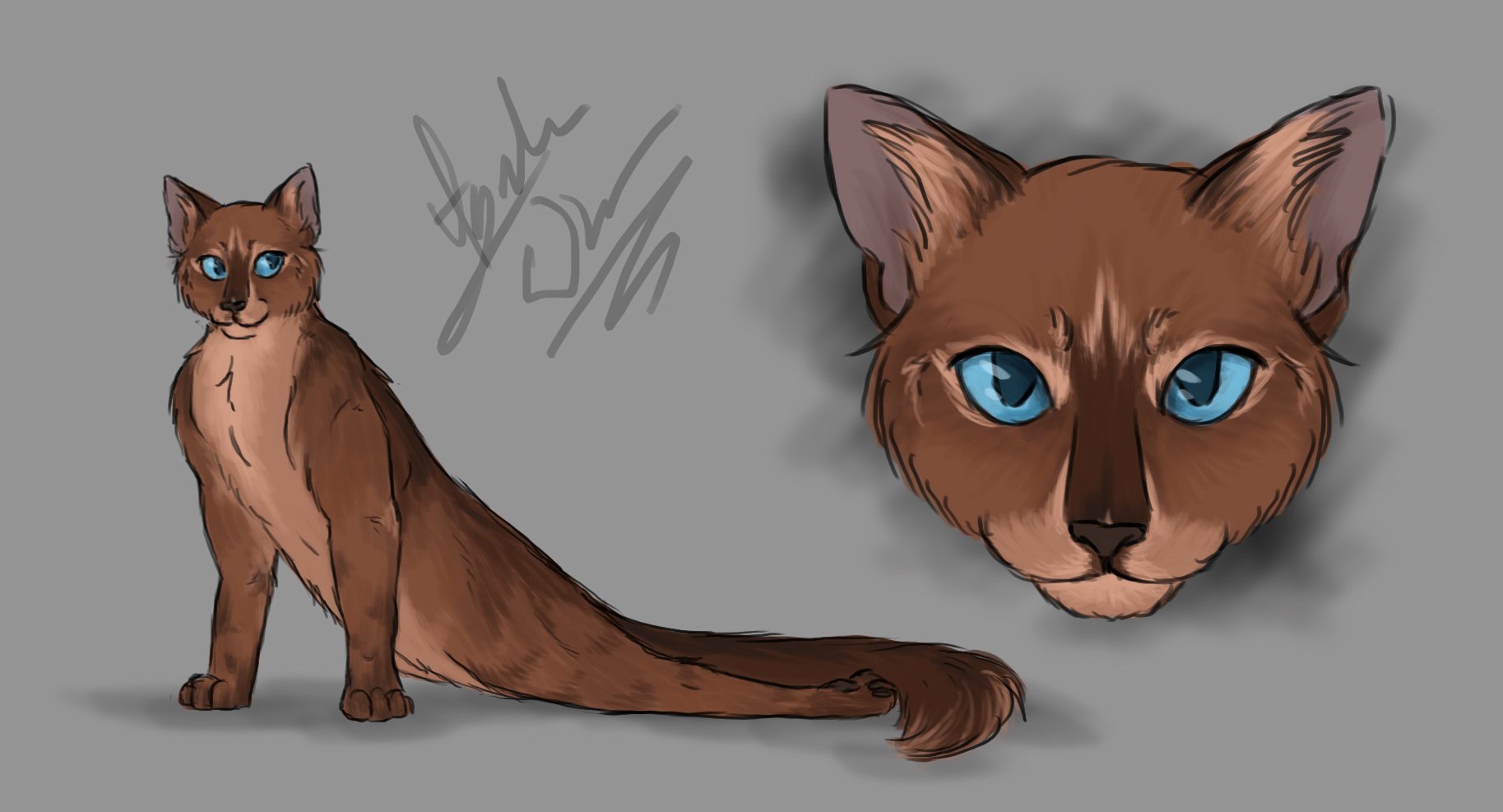 Briarlight Warriors Cats