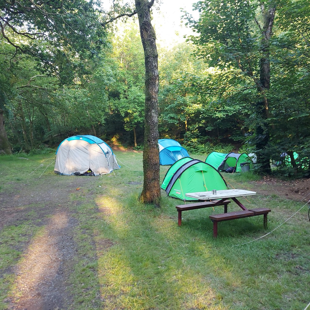 Blue Peris Mountain Centre tweet media