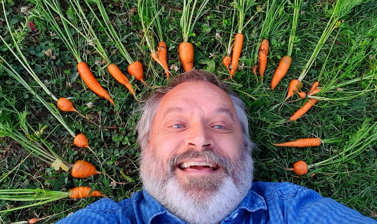 RobertMaslak's tweet image. Był Maślak w buraczkach, to dlaczego nie w marchewce? Zwłaszcza, że właśnie zebrał pierwszą z własnej uprawy.
#marchewka #carrot #ogród #garden #gardening