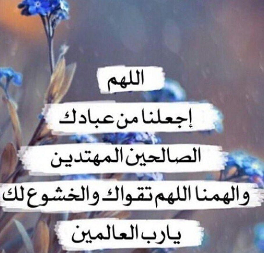 ✦همسـ قلم ـة✦رحلاوالدّي من الدنياولن يرحلامن قلبي tweet media