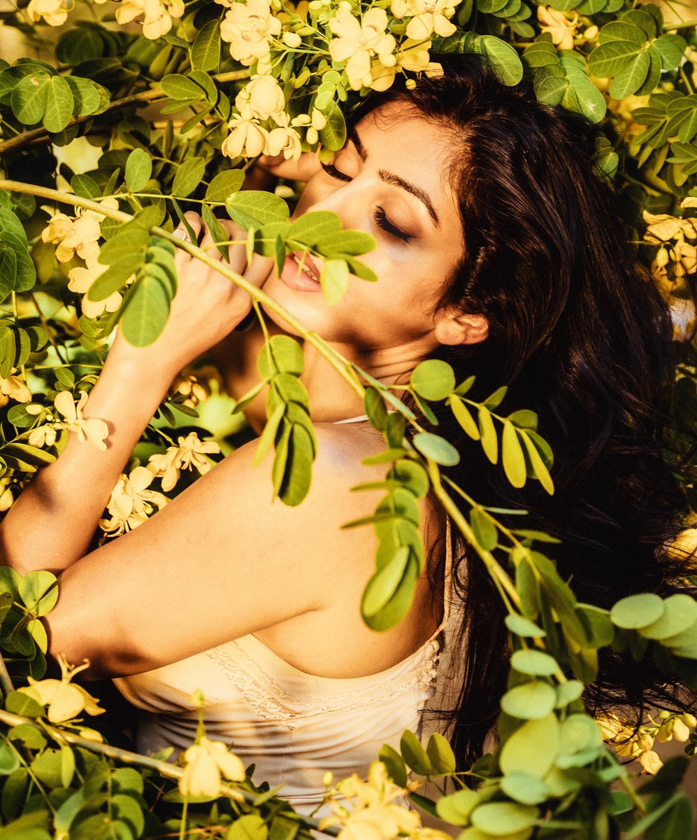 Victor Bobmanuel tweet media