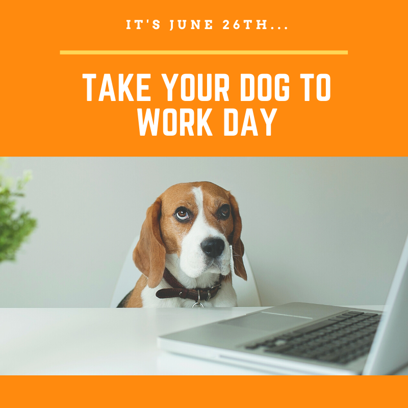 It's Take Your Dog To Work Day! Man's best friend is always eager to help. Show us a picture of your dog "helping" you work!
