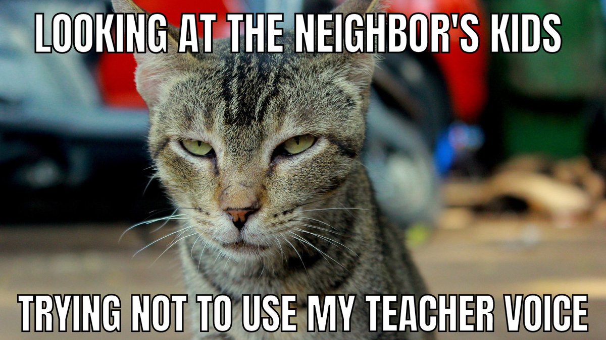 moreruckus2's tweet image. Entering the #ISTELiveContest about teacher voice.  Tell @iste what &quot;Teacher Voice&quot; means to you #ISTELive