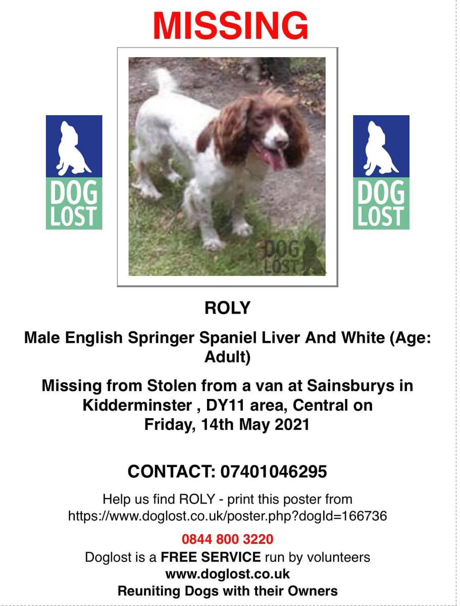 MolliePug's tweet photo. PLEASE READ A PERSONAL APPEAL FROM ROLY'S OWNER STEPHANIE.
ππππππππππ
ππππππππππ
πΎπΎπΎπΎπΎπΎπΎπΎπΎπΎ
It's now been 12 days since Roly was stolen.
We miss him more than you could possibly know. PLEASE help us find our best pal, Roly!
πππππππππ https://t.co/lNT8FX4BpT