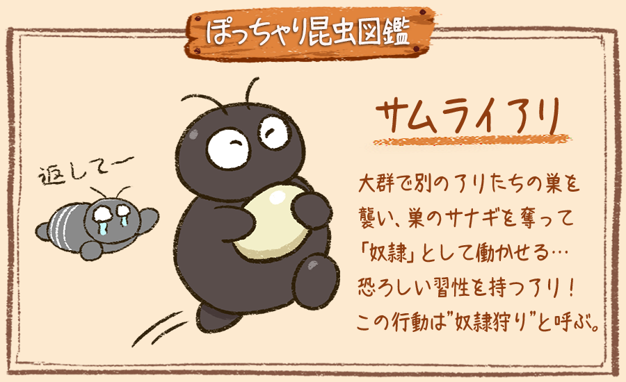 Twitter 上的 ぽっちゃり昆虫図鑑 略してぽちゃこん ぽっちゃり昆虫図鑑 No 237 サムライアリ ぽっちゃり体型の生き物を毎日描いています 今日は他のアリの巣を襲うアリ サムライアリです 情熱大陸でも登場していましたね 昆虫 絵 イラスト 1日1絵