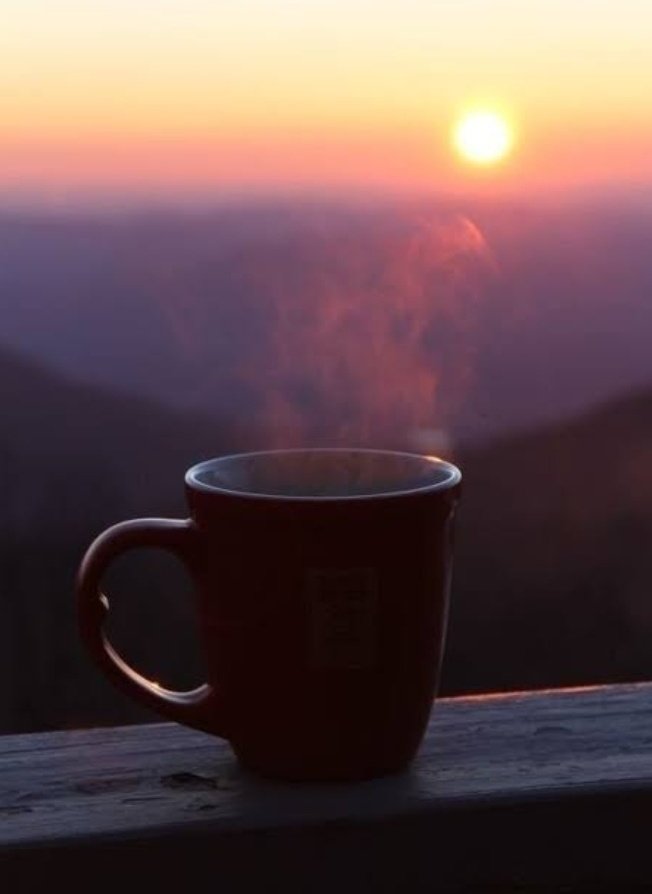 AnjuGhara's tweet photo. गरम-गरम कॉफी के साथ☕☕
 ठंडी ठंडी हवा❄❄
आंखें खोल कर देखो जाना 😴👀
हो गई है सुबह🌞🌄

#sundaymorning #goodmorning
#sundayvibes #SundayMotivation #sundaymood #TwitterWorld #writer #annu https://t.co/21yeXmnn2W