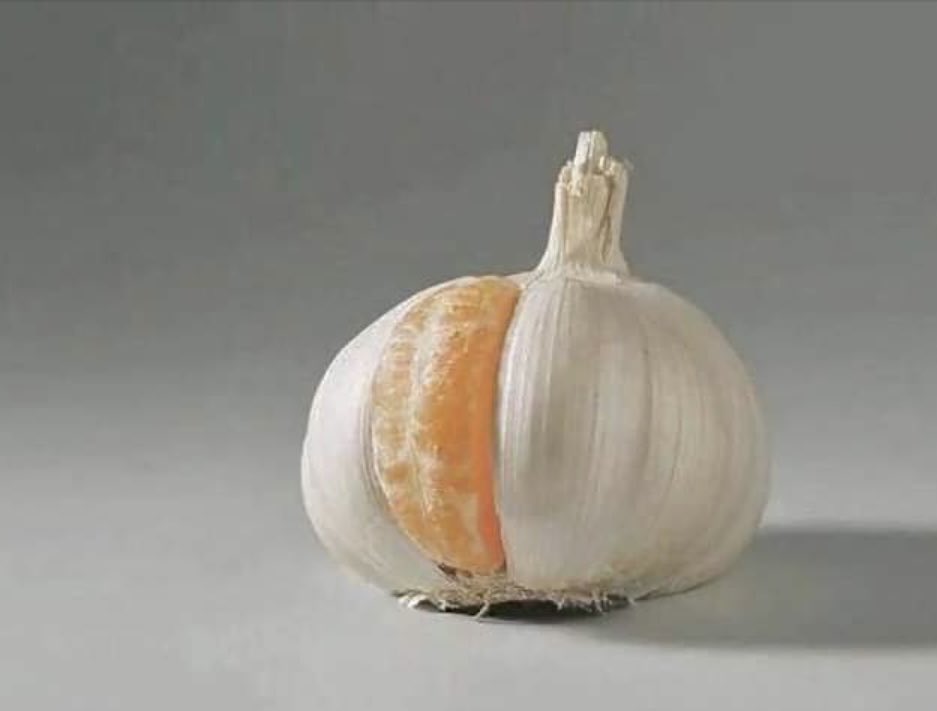 لا تُحاول التكيّف مع مَنْ لا يُشبهك.!!