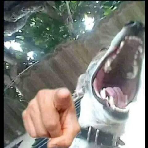 SenneJake's tweet photo. @LiIligant SHE HATES YOUR ASS https://t.co/livJLUWX25