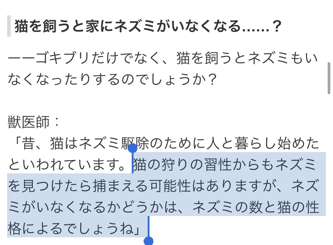 ピカㄘʓ 猫を飼うとゴキブリがいなくなる について獣医師に聞いてみた ねこのきもち Web Magazine T Co 1iyxslmjko Z Ao W Oa 猫の性格によるでしょうねは草