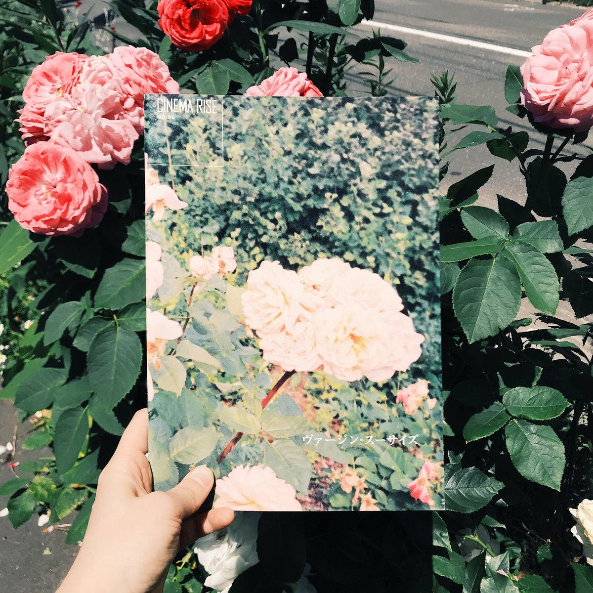 booklab_sapporo's tweet image. 今日も19時まで💗良い本たくさん入荷してます💫

#BOOKLAB #古本 #古本屋