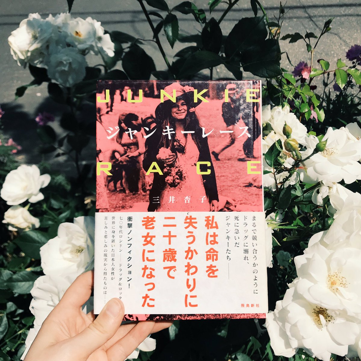 booklab_sapporo's tweet image. 今日も19時まで💗良い本たくさん入荷してます💫

#BOOKLAB #古本 #古本屋