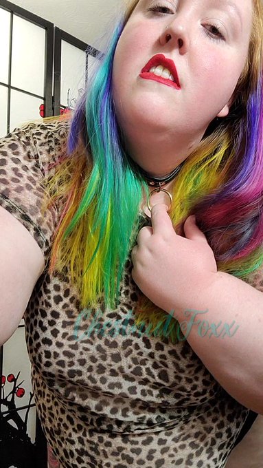 Do you prefer the front or the back, Master?  🌈 https://t.co/jdKH0XXddF https://t.co/XZRa9fbrP9