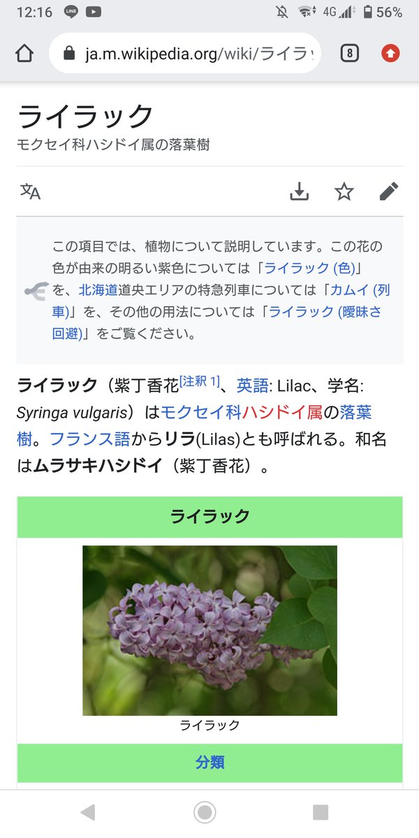 Lilas Ship10 こっちの垢では初のツイートなので 自己紹介から行きます W 名前 Lilas 読み方は リラ です W よく名前を間違われます W 名前の由来は 大学時代に描いたオリキャラから 設定を練った結果かなり気に入って 以来の