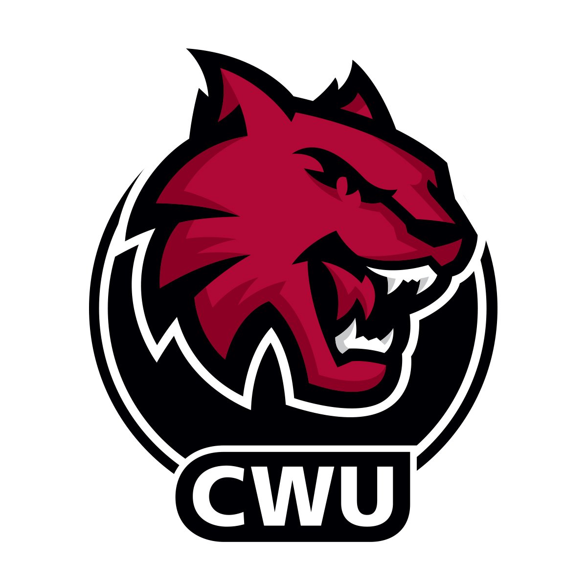 Very thankful to <a href="/CoachT_CWU/">Grant Torgerson</a> and the rest of the CWU staff for inviting me to come and see their beautiful campus and facilities. Go wildcats!!!
@coachfisk <a href="/TigerNationFB/">Tigard Football</a>
<a href="/CWUFB/">CWU Football</a> <a href="/CoachCapitani/">Spencer Capitani</a>
<a href="/CoachBrae88/">Braelon Roberts</a> <a href="/Coach_Leighton/">Winterhawk Leighton🪶</a>