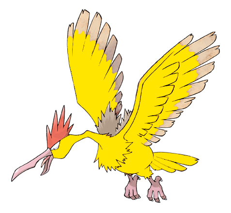 elxokas's tweet photo. @KNekro no puedo soy #teamzapdos https://t.co/BFQ3Y1hRcV