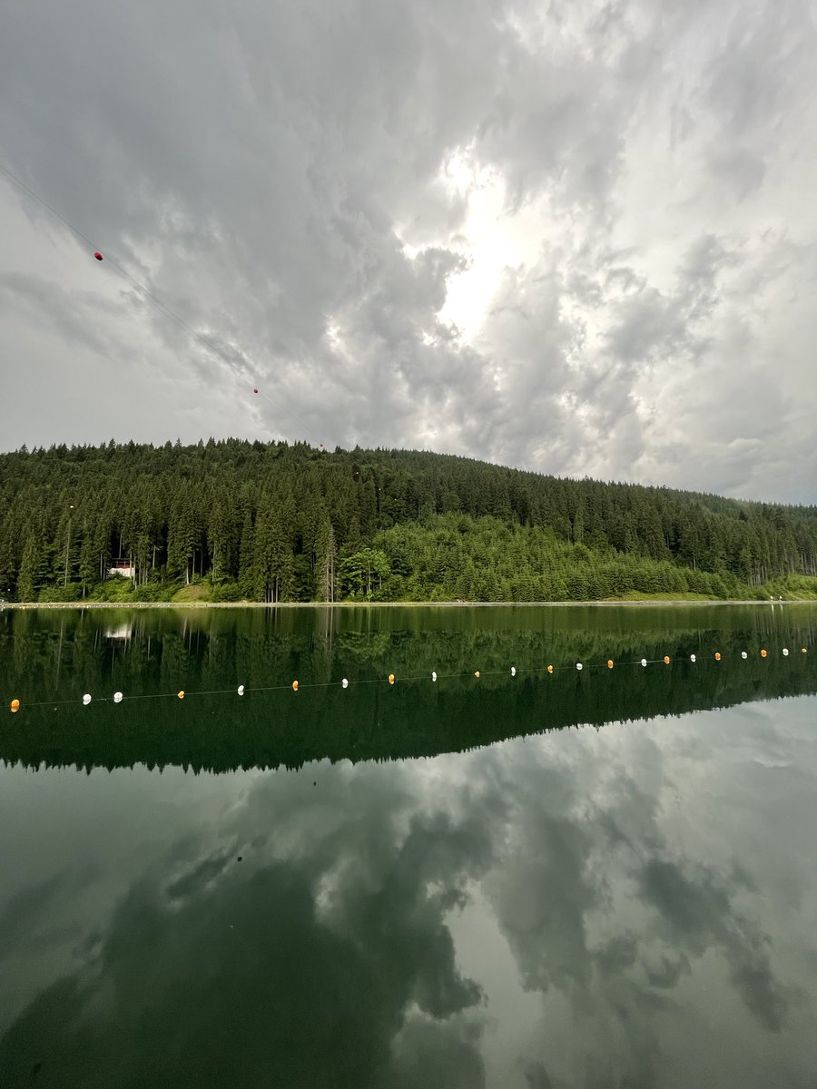 #أوكرانيا #كييف #بوكوفيل