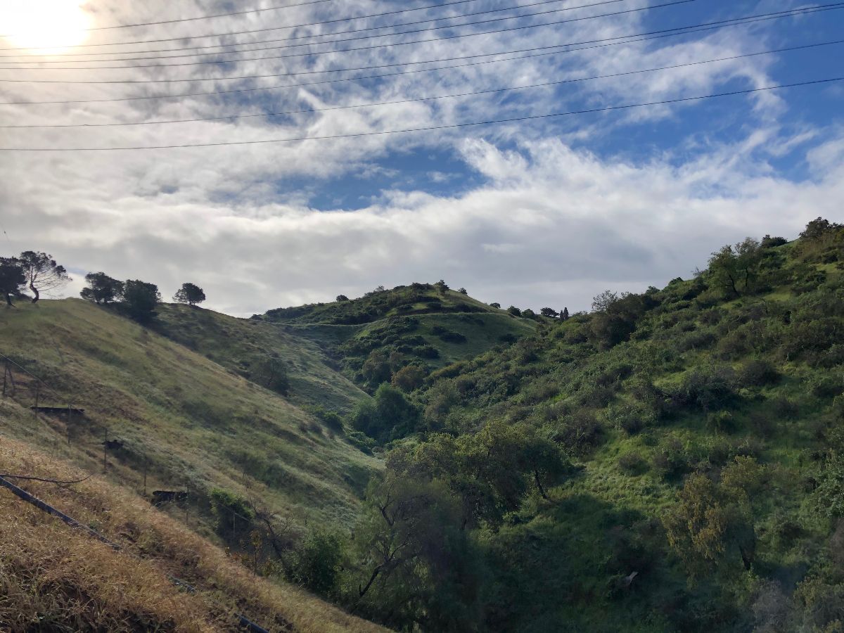 Executive Committee meeting on Tue 6/29, Tiny Homes Town Hall Info &amp; More!  - mailchi.mp/ernc/ernc-news…