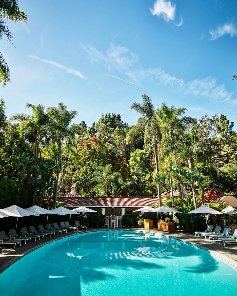 A day at the pool is a day well spent  🌴