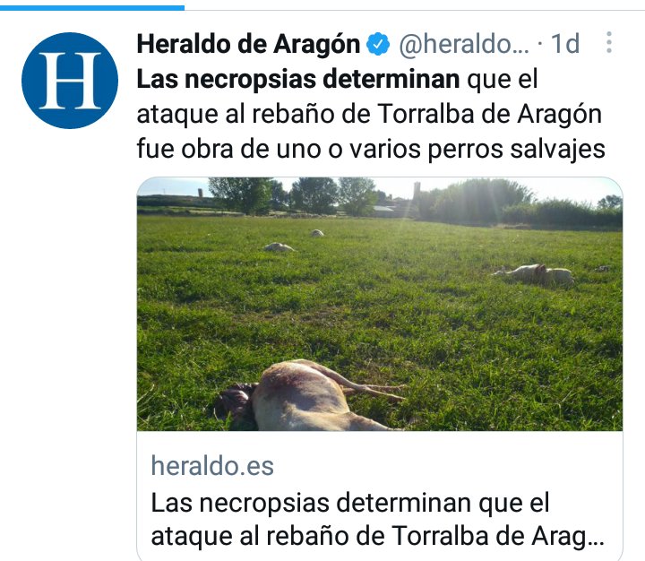 Hola <a href="/RadioHuesca/">Radio Huesca</a>. Ahora que el informe técnico de necropsia atribuye la autoría del ataque a perros y no a lobos, esperamos una rectificación a vuestra noticia. Por aquello del rigor, la ética periodistica y el no mentir a los ciudadanos. Gracias. cc <a href="/UAGA_COAG/">UAGA-COAG Aragón</a> #Monegros
