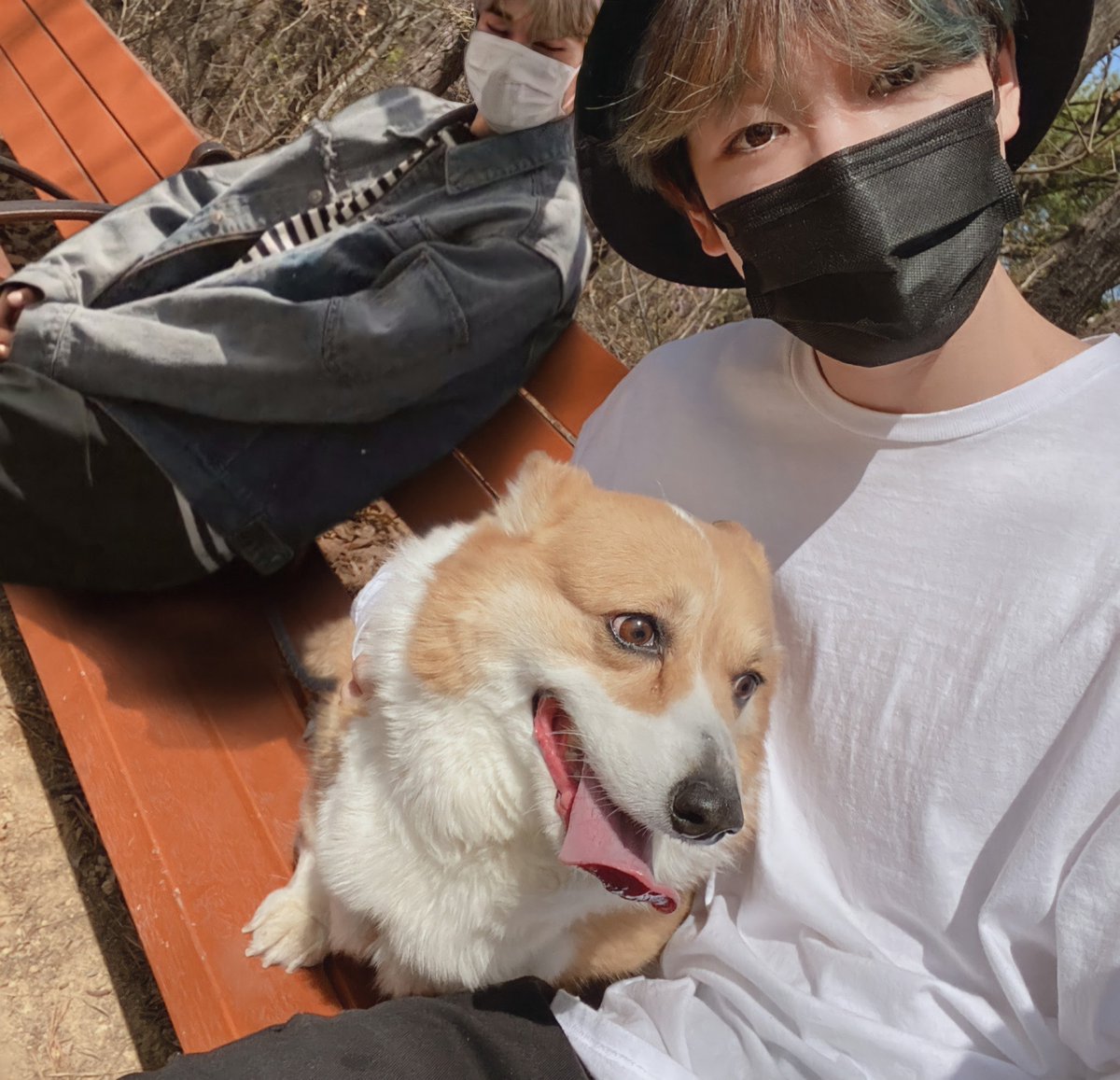 bugnnyarst's tweet photo. 🐱 "I never imagined that in you I would find what makes me happy".

#moggychick #GHOSCND #hwooi #hwoojiun #manips #kpopmanips #manipskpop #manipulation 

21.06.26 https://t.co/KJUN6lYdt9
