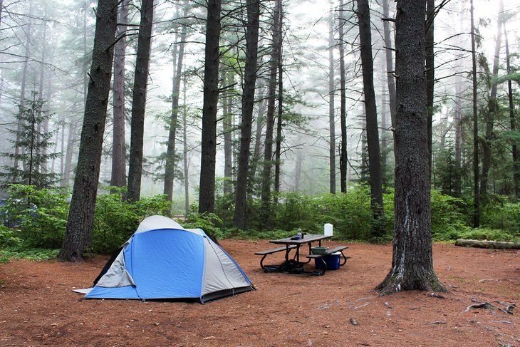CampingAddicts's tweet photo. Have you tried camping solo?

#solocamping... https://t.co/vOzuwjAohd