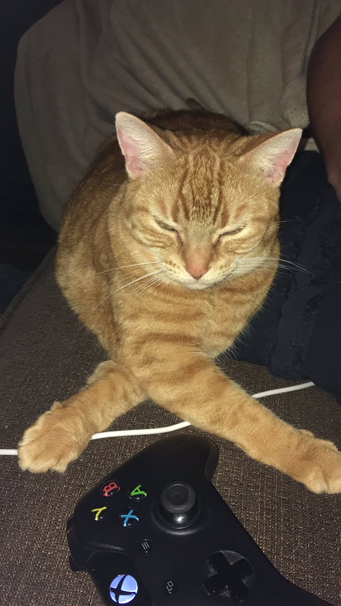 Courtney Rush - W3 Legend tweet media