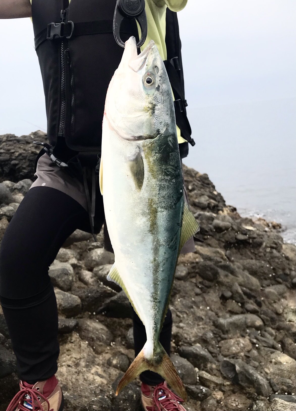 100 安心保証 釣り愛好家専用に厳選した拘りの最上級フルセット プロ用釣りセット 信頼