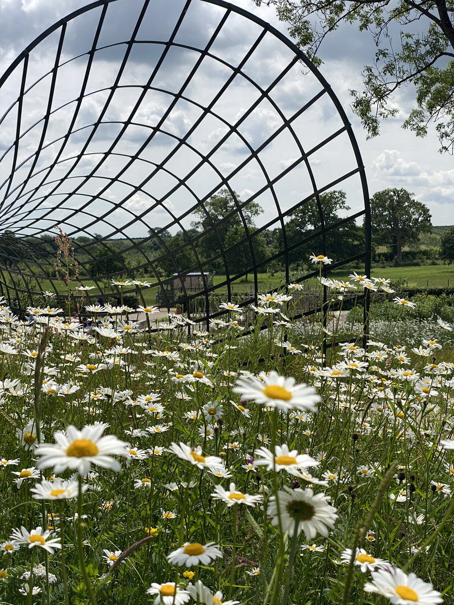 londonwhispers's tweet photo. A #GreatGardenEscape it truly was. I have spent the day @thenewtsomerset & already I want to come back #somerset #cidertour #beautifulgardens #staycation #daytrips https://t.co/xeaskZVUNO