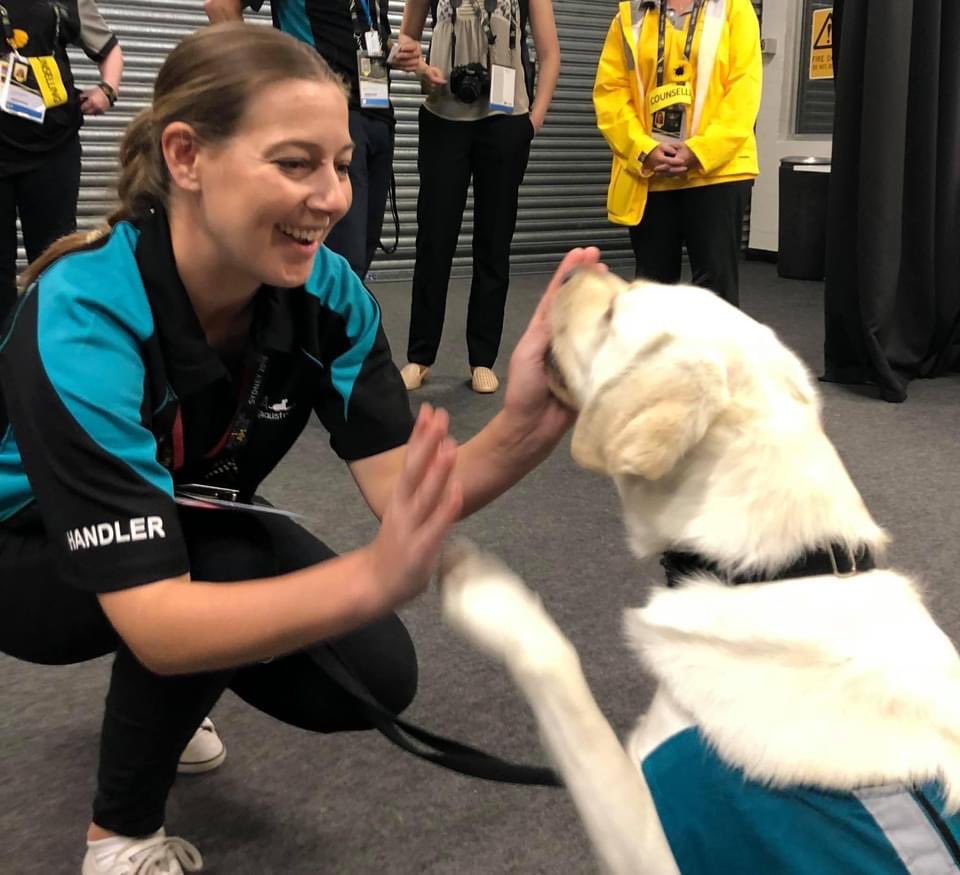 DarrenChesterMP's tweet photo. PTSD Awareness Day is a reminder that not all injuries are visible. All veterans have access to free mental health care, &amp; 33 PTSD assistance dogs are already helping veterans, with 123 in training. Help is available for the veteran community from @OpenArmsSupport on 1800 011 046 https://t.co/UEQ52FV3f5