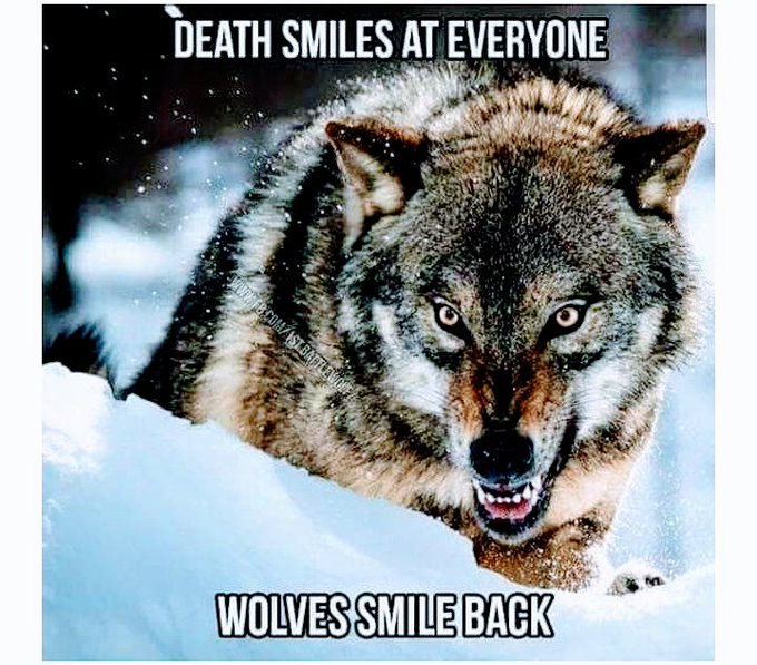 thats why god made me https://t.co/6J6dT4WPWU<a href="/tag/blacklivesmatter"class="tags"><span>#blacklivesmatter</span></a><a href="/tag/justiceforgeorgefloyd"class="tags"><span>#justiceforgeorgefloyd</span></a><a href="/tag/end"class="tags"><span>#end</span></a>