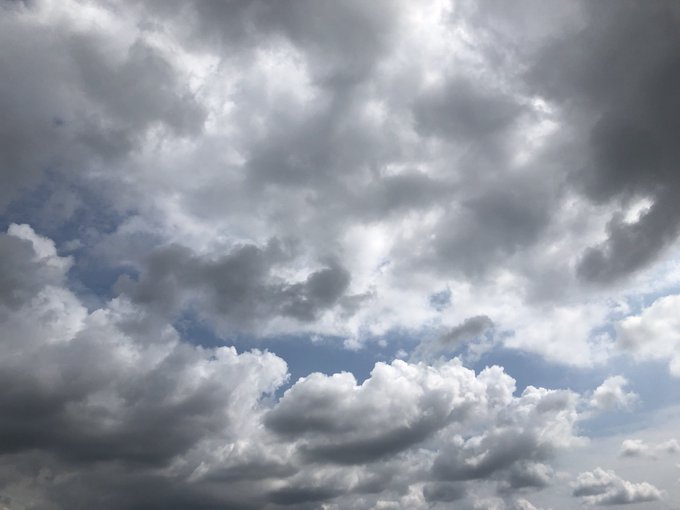 台風のtwitterイラスト検索結果