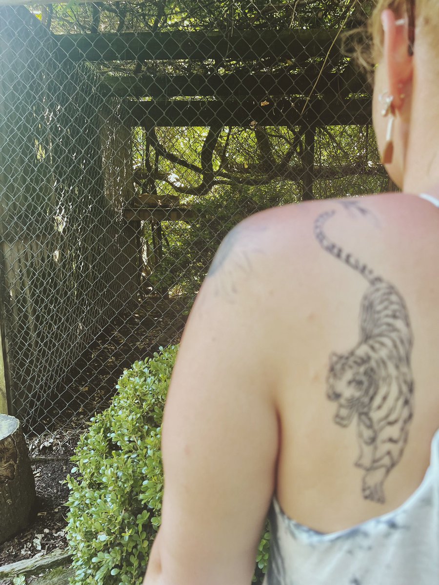 breabeckstead's tweet image. 98 :|| The year of the tiger