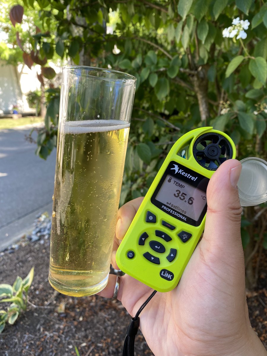 reyesbrews's tweet photo. Heat wave. Pisco Sour #homebrew Beer. Stay hydrated! https://t.co/dUiKwuHPm6