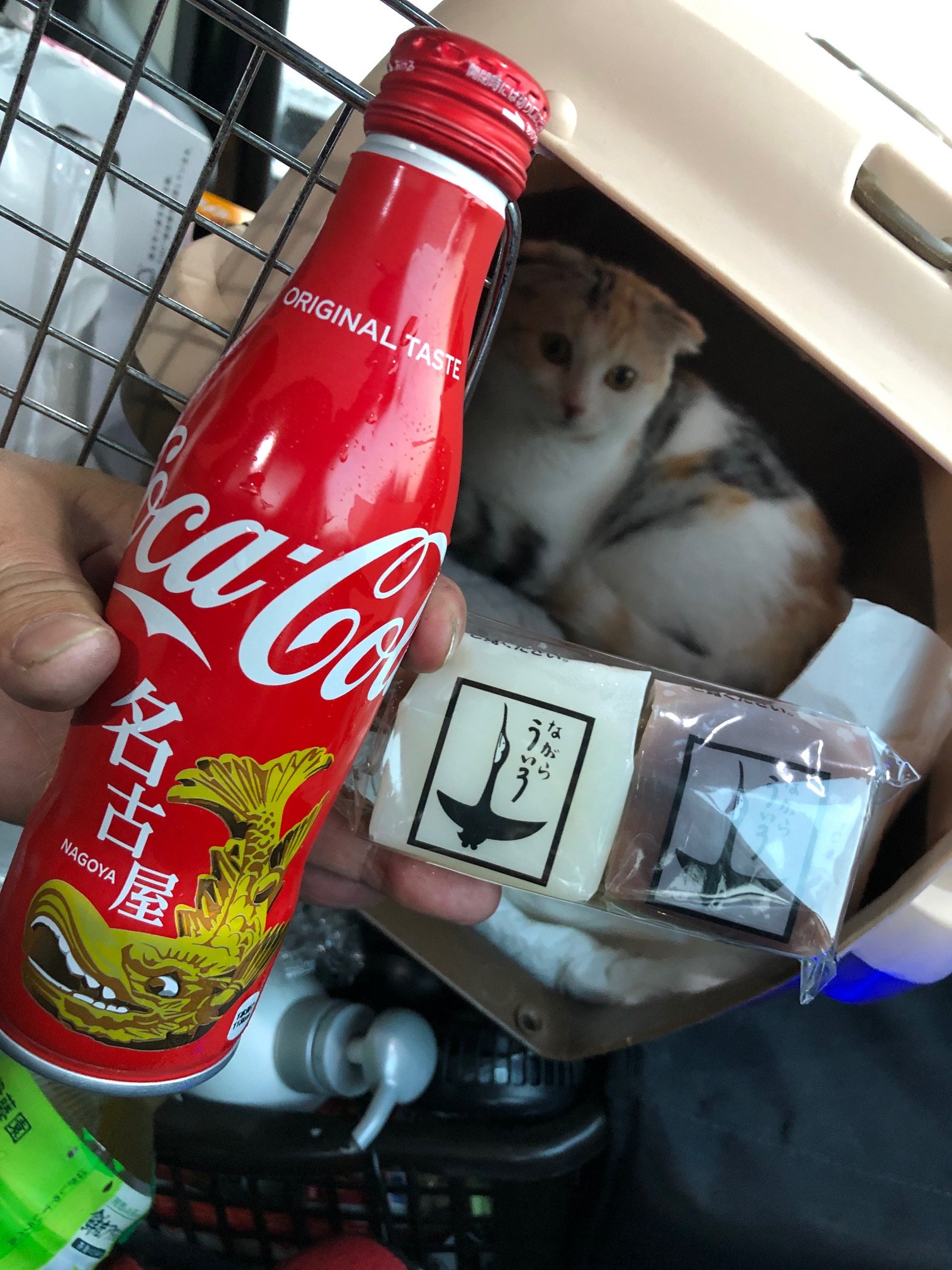 猫の名前 Twitter Search Twitter