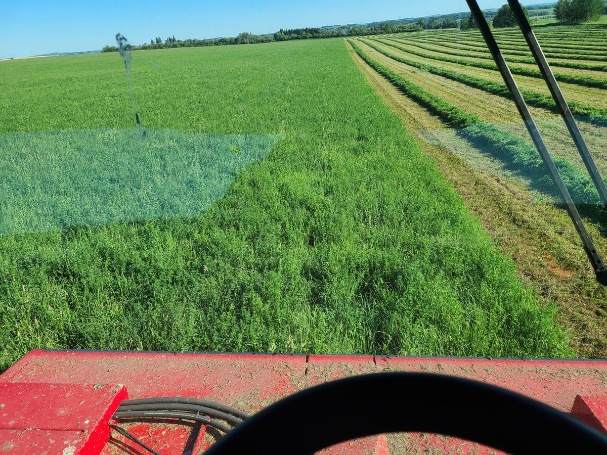 Shawn Murphy tweet media