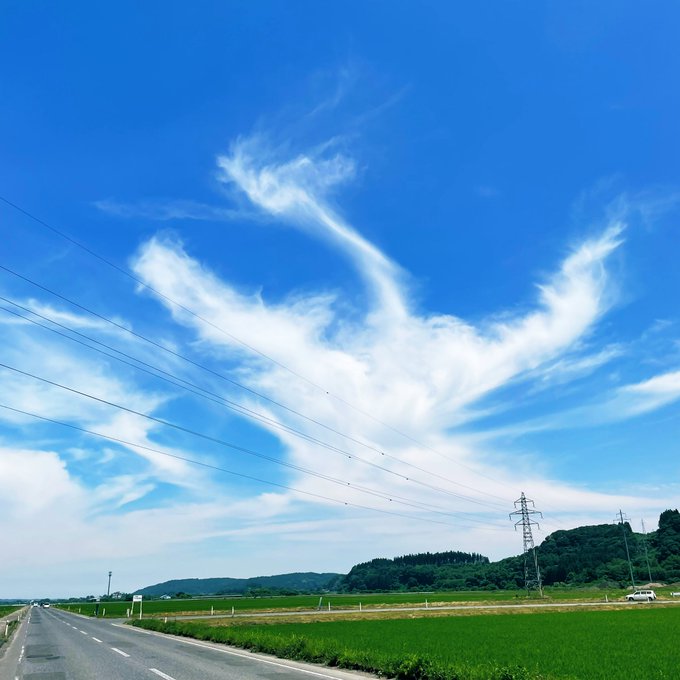 フェニックス 高画質 のtwitterイラスト検索結果 古い順