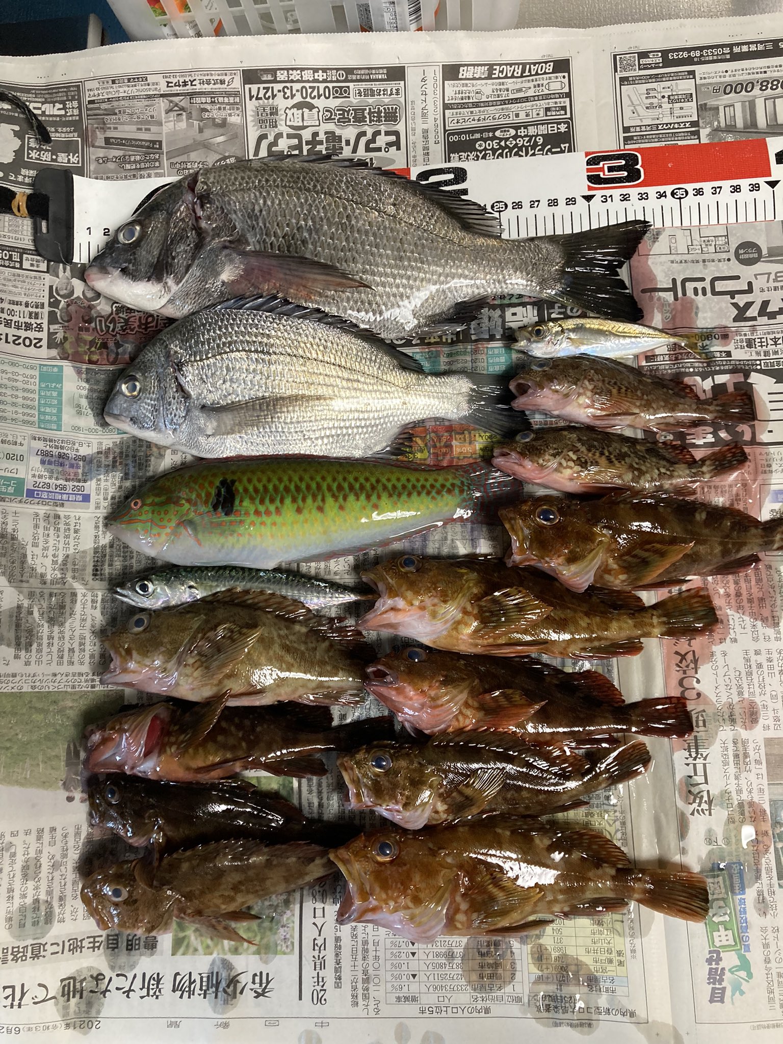 Bara 赤羽根から伊良湖へ 先週釣れた伊良湖も波が穏やかすぎてカサゴばかり 赤羽根で2枚 水温25度 大潮 赤羽根サビキでサバやアジが釣れ始めました 今後楽しみです T Co Efz01toqme Twitter