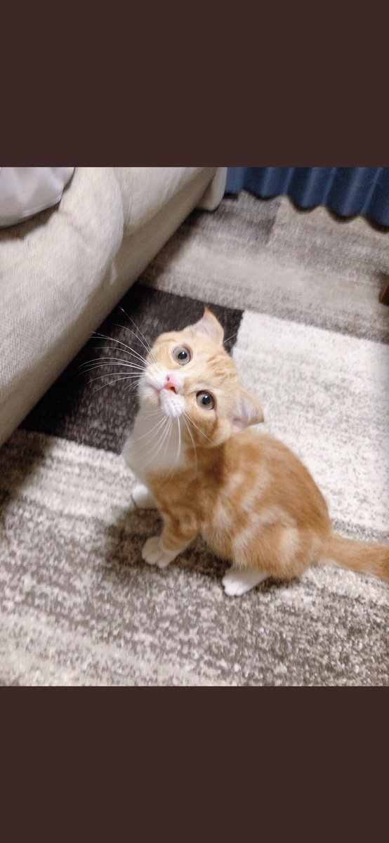 佐藤拓巳 Takumiaiueo Twitter