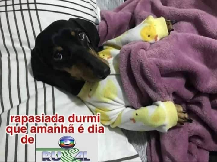 piorestirinha's tweet image. 