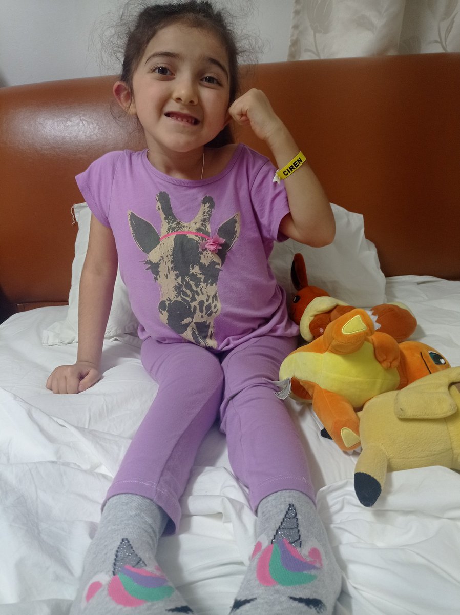 arabelacecilia's tweet photo. La hermosura 🥰 https://t.co/NyeFTDm6vu
