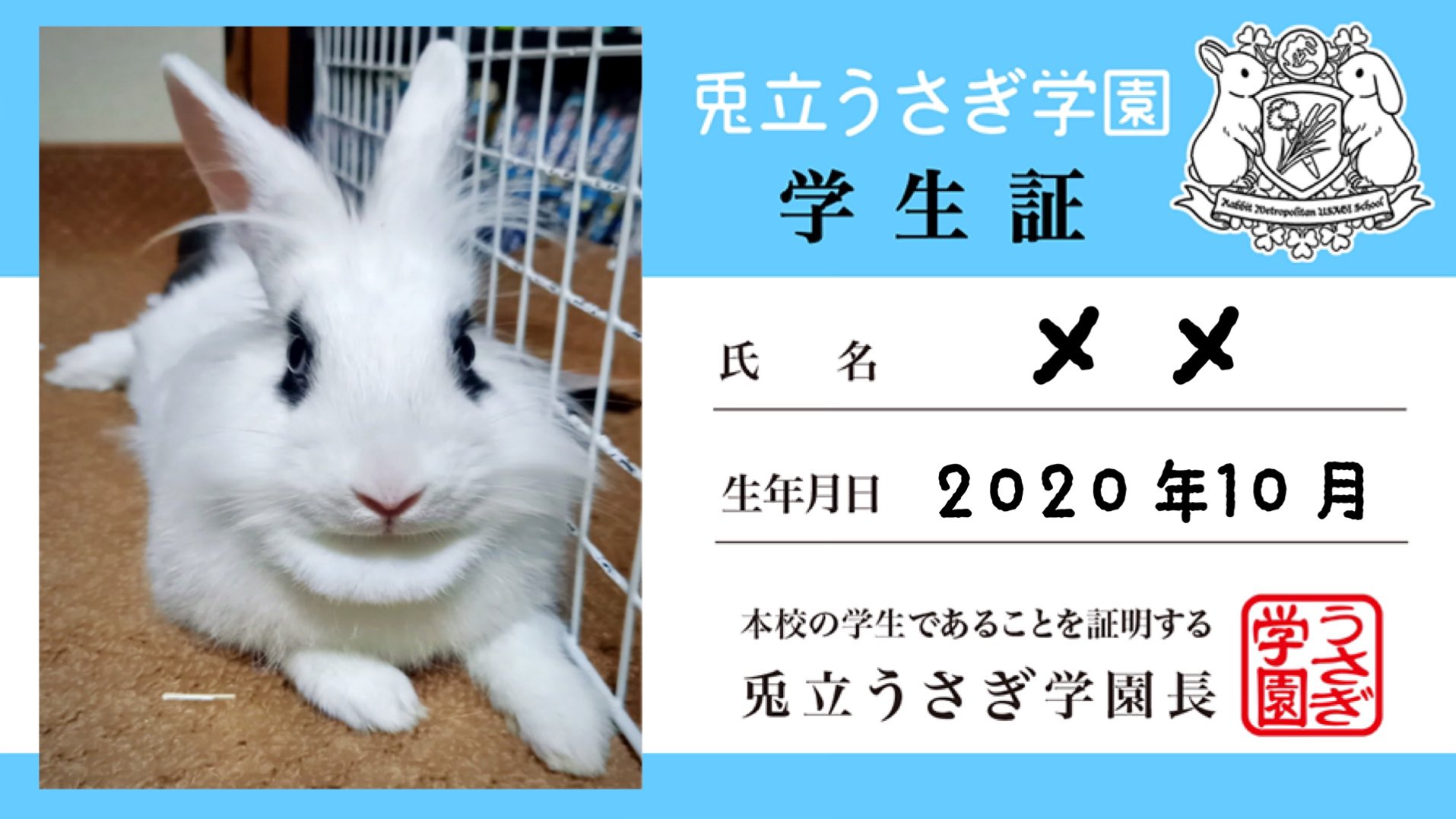 兎立うさぎ学園 学生の皆様 1 Twitter