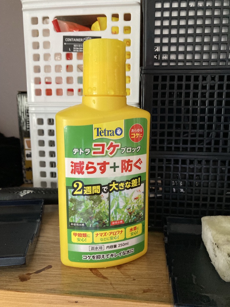 飼育水 飼育水