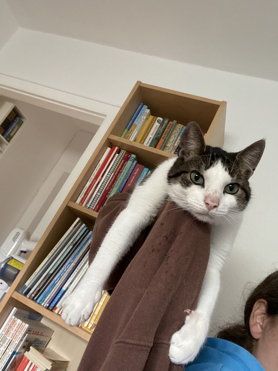 sisstaa💙💛🇺🇦 tweet media