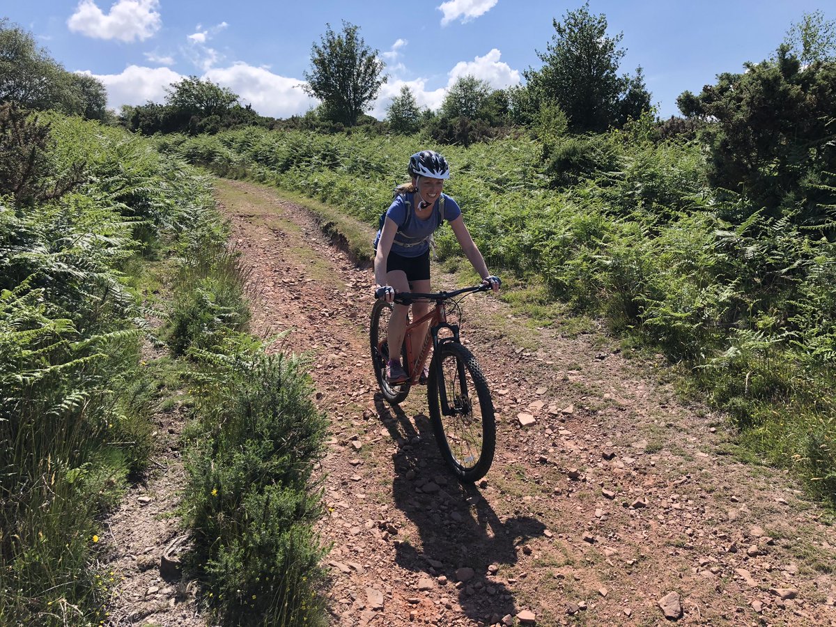 Exmoor Adventures tweet media