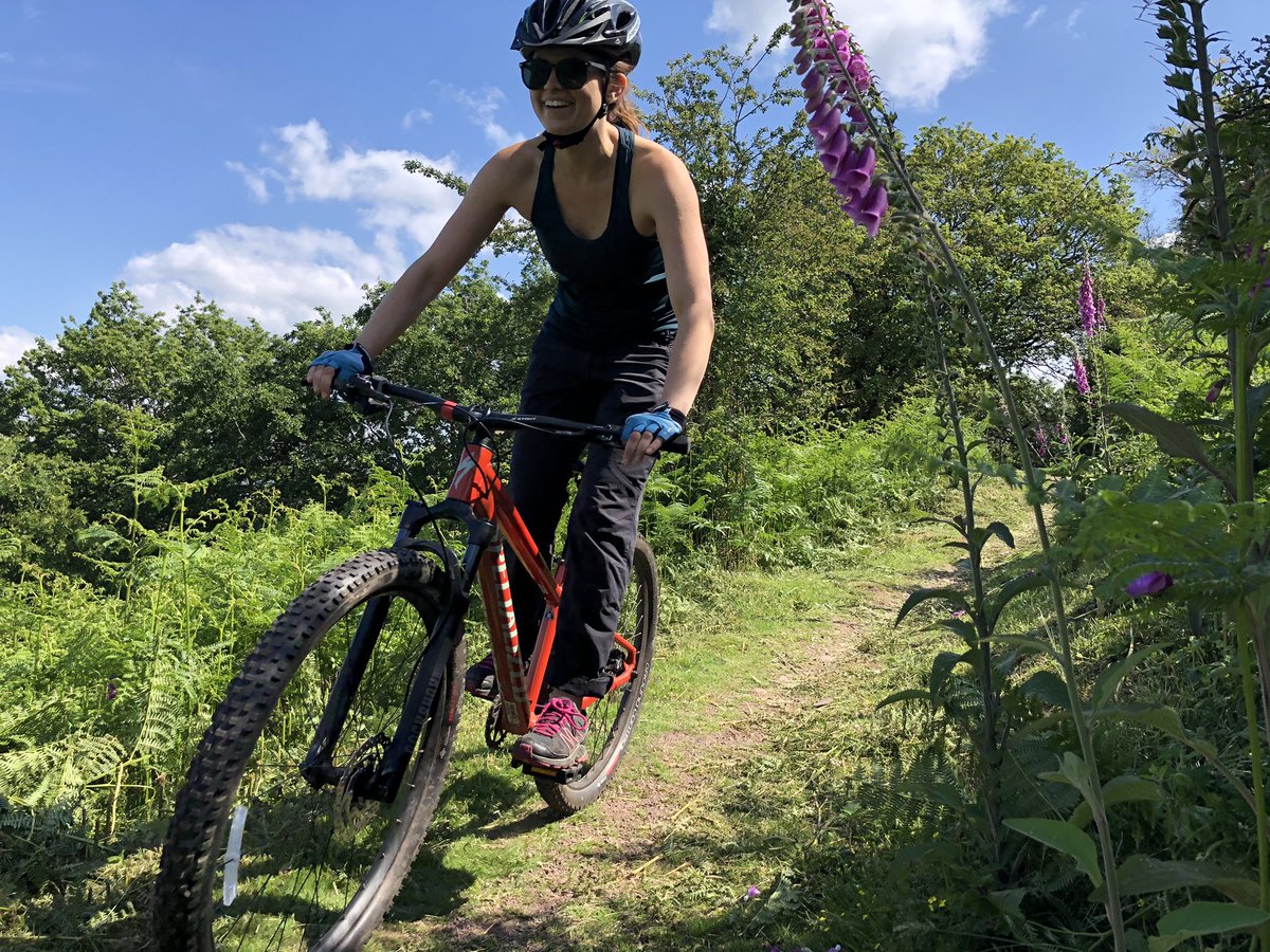 Exmoor Adventures tweet media