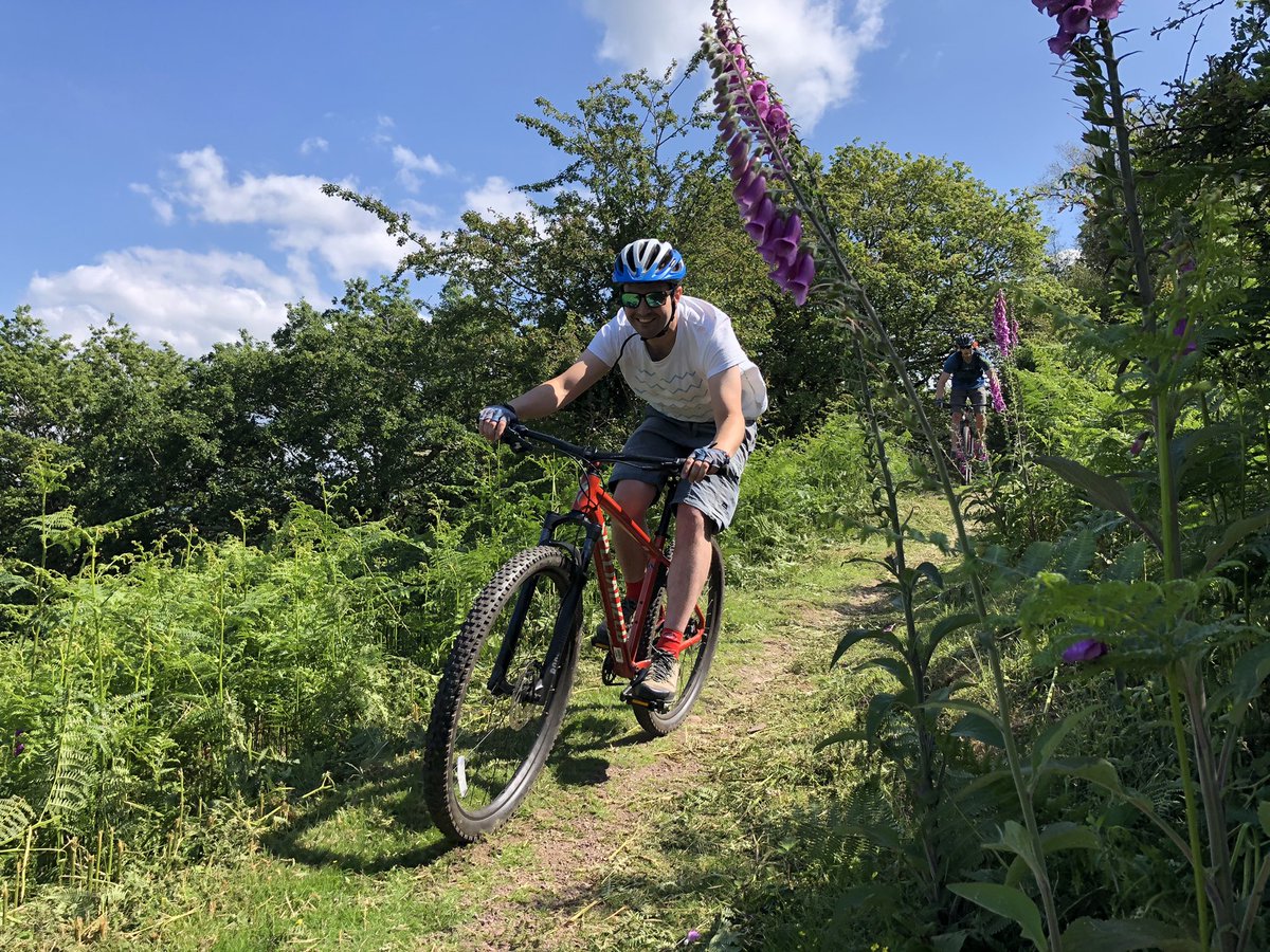 Exmoor Adventures tweet media