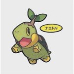 高1のころ行為中に 突然 なんでメタグロスってコンピュータ4個分の脳を持っているのに メタッ しか言わないんだよ となった時の話 Togetter